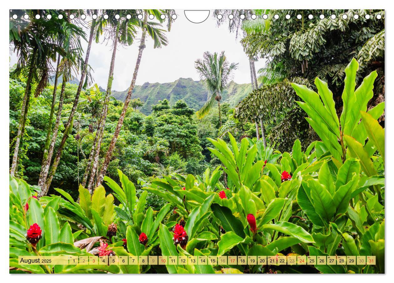 Bild: 9783435176540 | O'ahu - Eine Reise in das Herz von Hawaii (Wandkalender 2025 DIN A4...