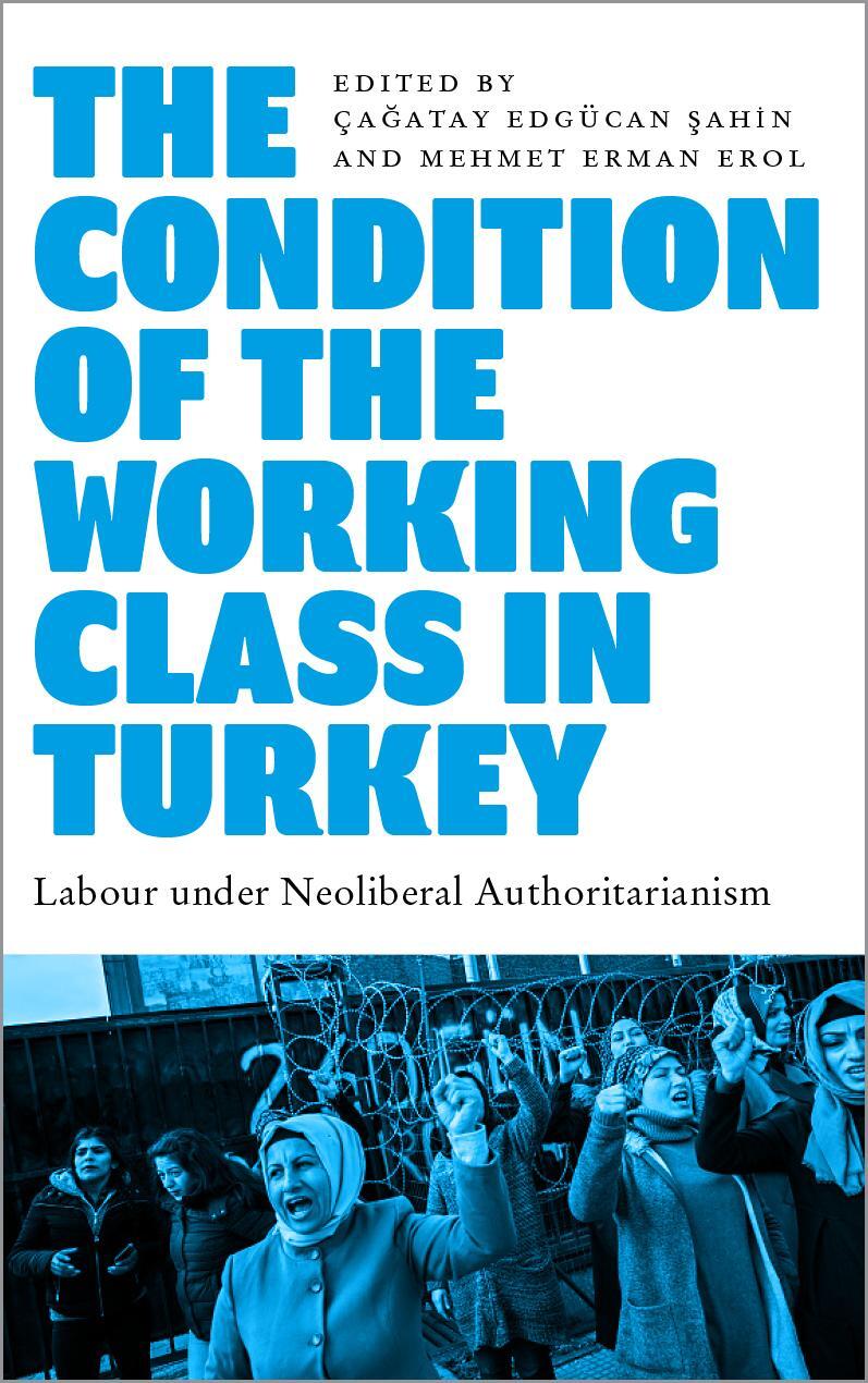 Cover: 9780745343112 | The Condition of the Working Class in Turkey | Mehmet Erman Erol