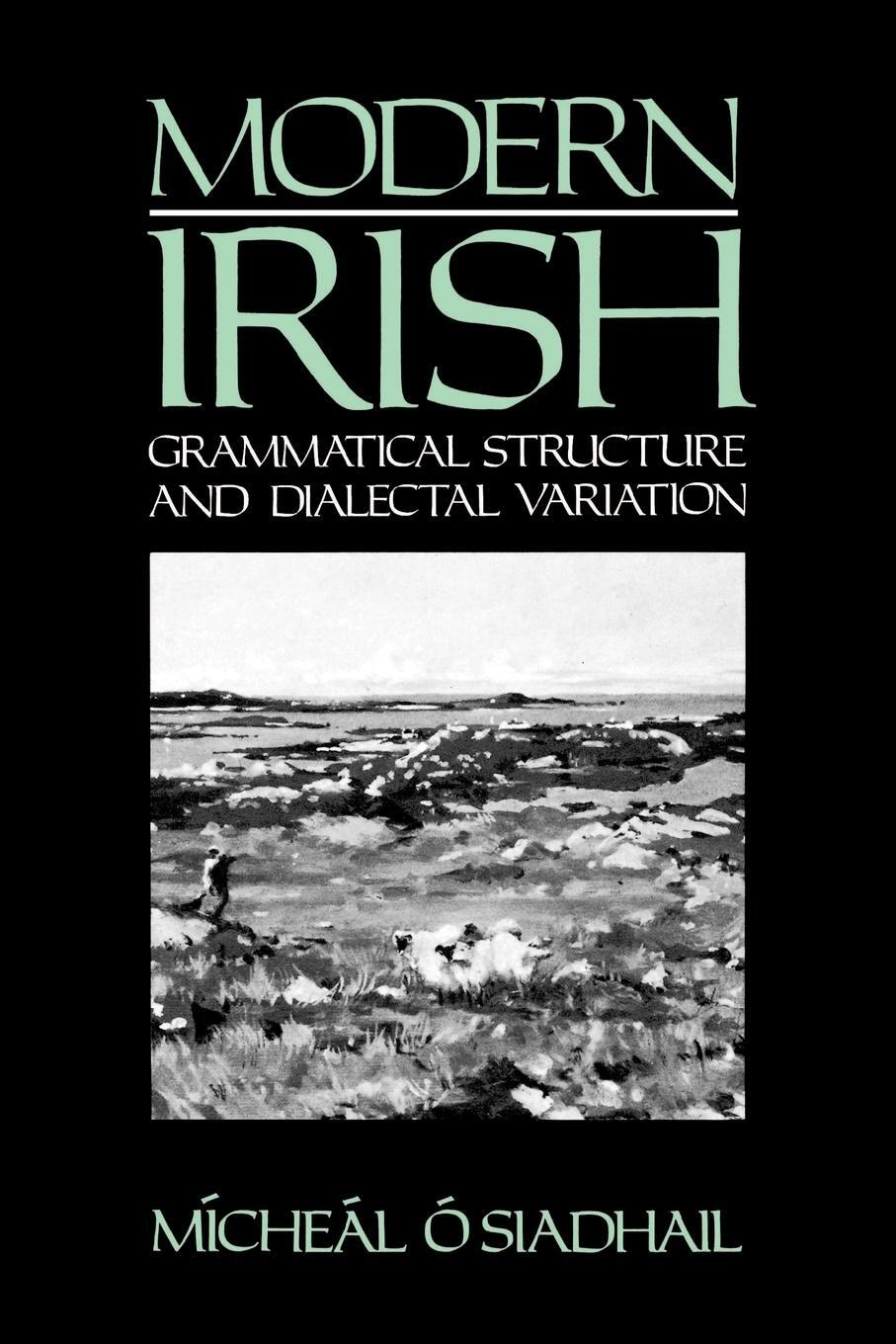 Cover: 9780521425193 | Modern Irish | Grammatical Structure and Dialectal Variation | Buch
