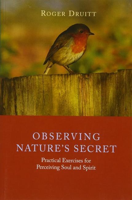 Cover: 9781855845466 | Observing Nature's Secret | Roger Druitt | Taschenbuch | Englisch