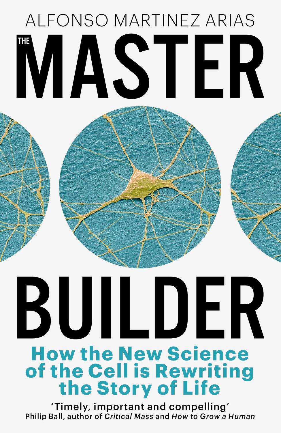 Cover: 9781399809924 | The Master Builder | Alfonso Martinez Arias | Buch | 2023