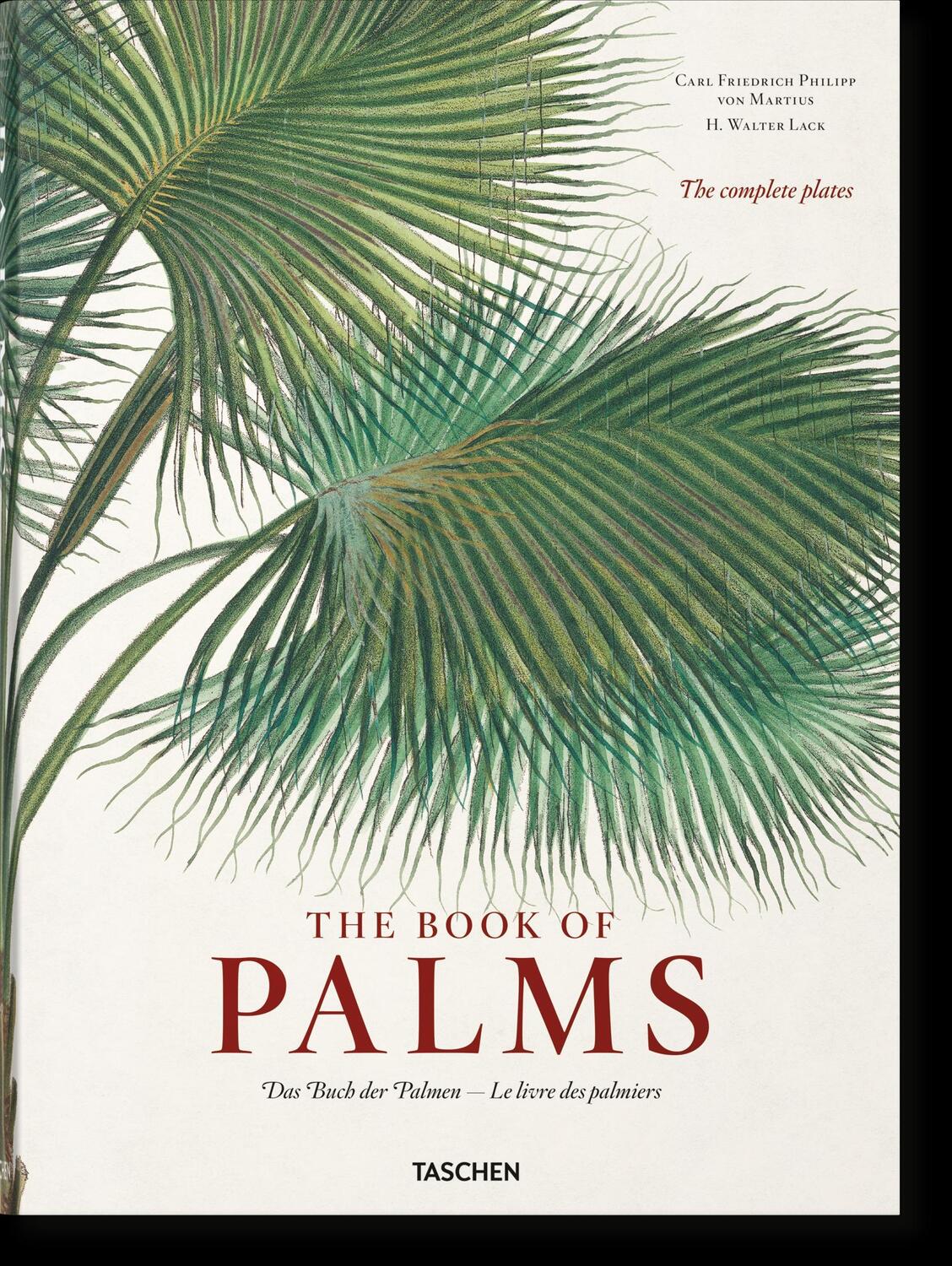 Cover: 9783836566148 | Martius. The Book of Palms | H. Walter Lack | Buch | GER, Hardcover