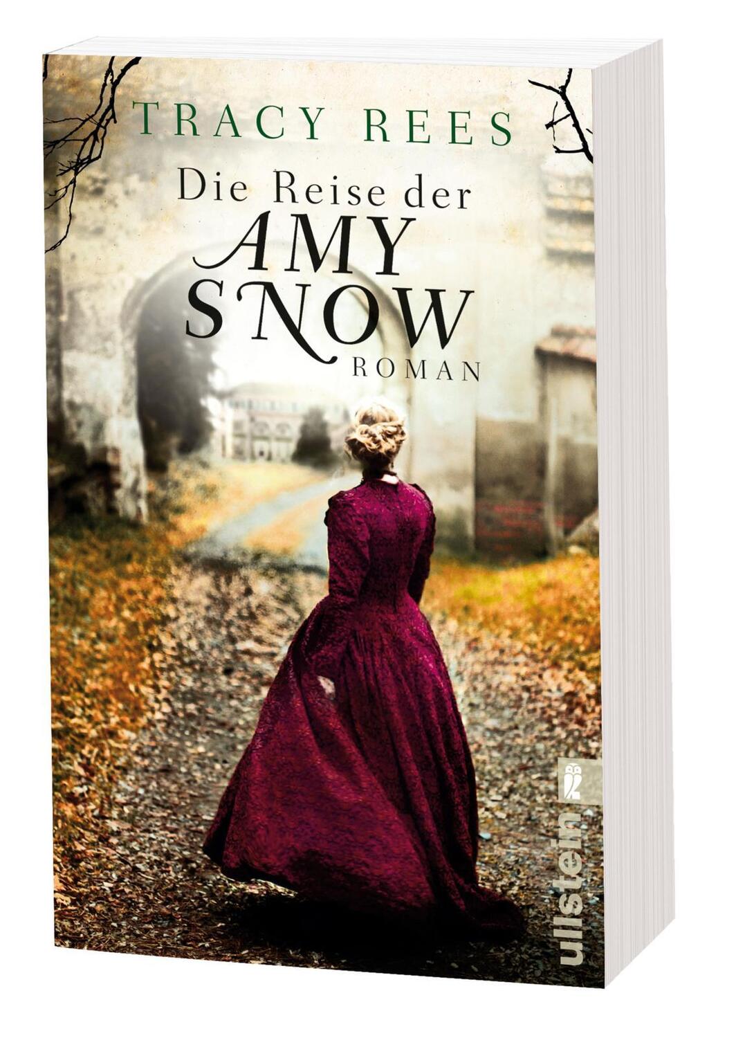 Bild: 9783548289809 | Die Reise der Amy Snow | Tracy Rees | Taschenbuch | 496 S. | Deutsch