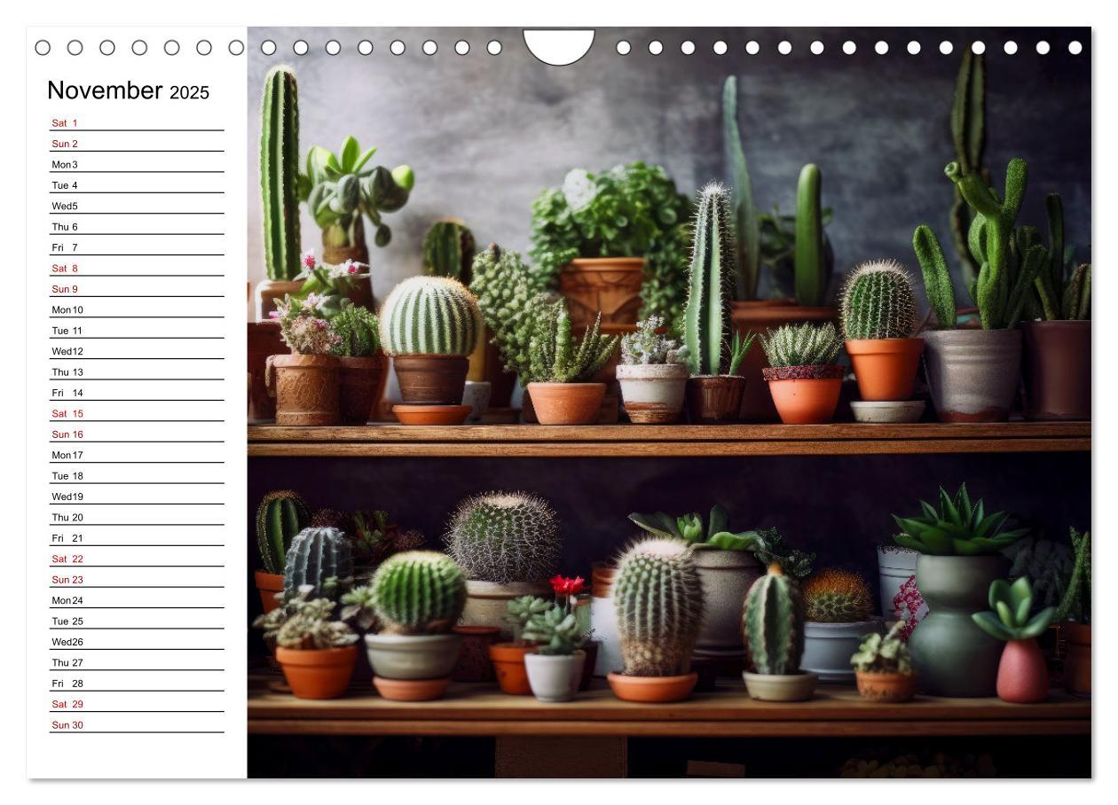 Bild: 9781325833092 | Cacti Wonderland (Wall Calendar 2025 DIN A4 landscape), CALVENDO 12...