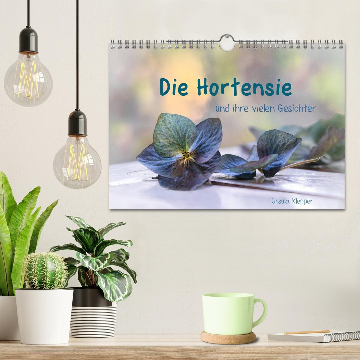 Bild: 9783435507412 | Die Hortensie und ihre vielen Gesichter (Wandkalender 2025 DIN A4...