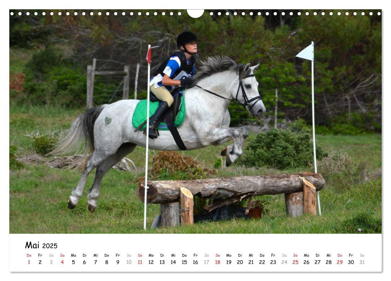 Bild: 9783435606481 | Pony Springreiten (Wandkalender 2025 DIN A3 quer), CALVENDO...