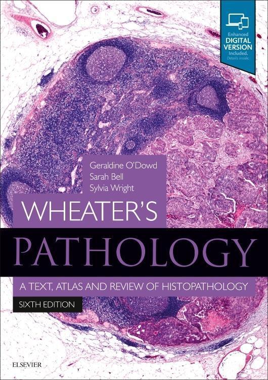 Cover: 9780702075599 | Wheater's Pathology: A Text, Atlas and Review of Histopathology | Buch