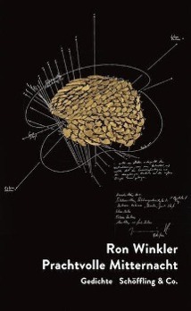 Cover: 9783895612169 | Prachtvolle Mitternacht | Gedichte | Ron Winkler | Buch | 104 S.
