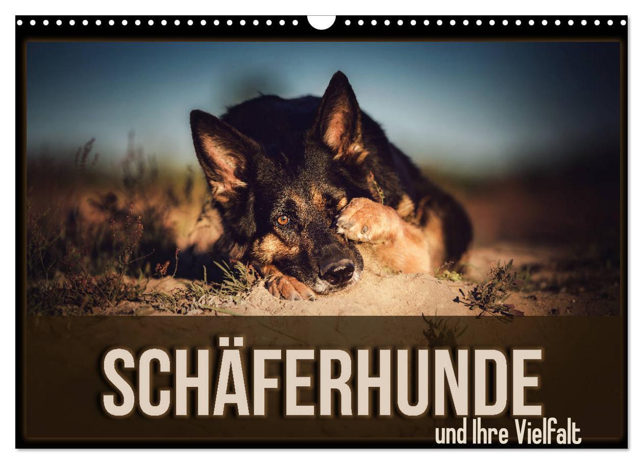 Cover: 9783675570481 | Schäferhunde und Ihre Vielfalt (Wandkalender 2024 DIN A3 quer),...