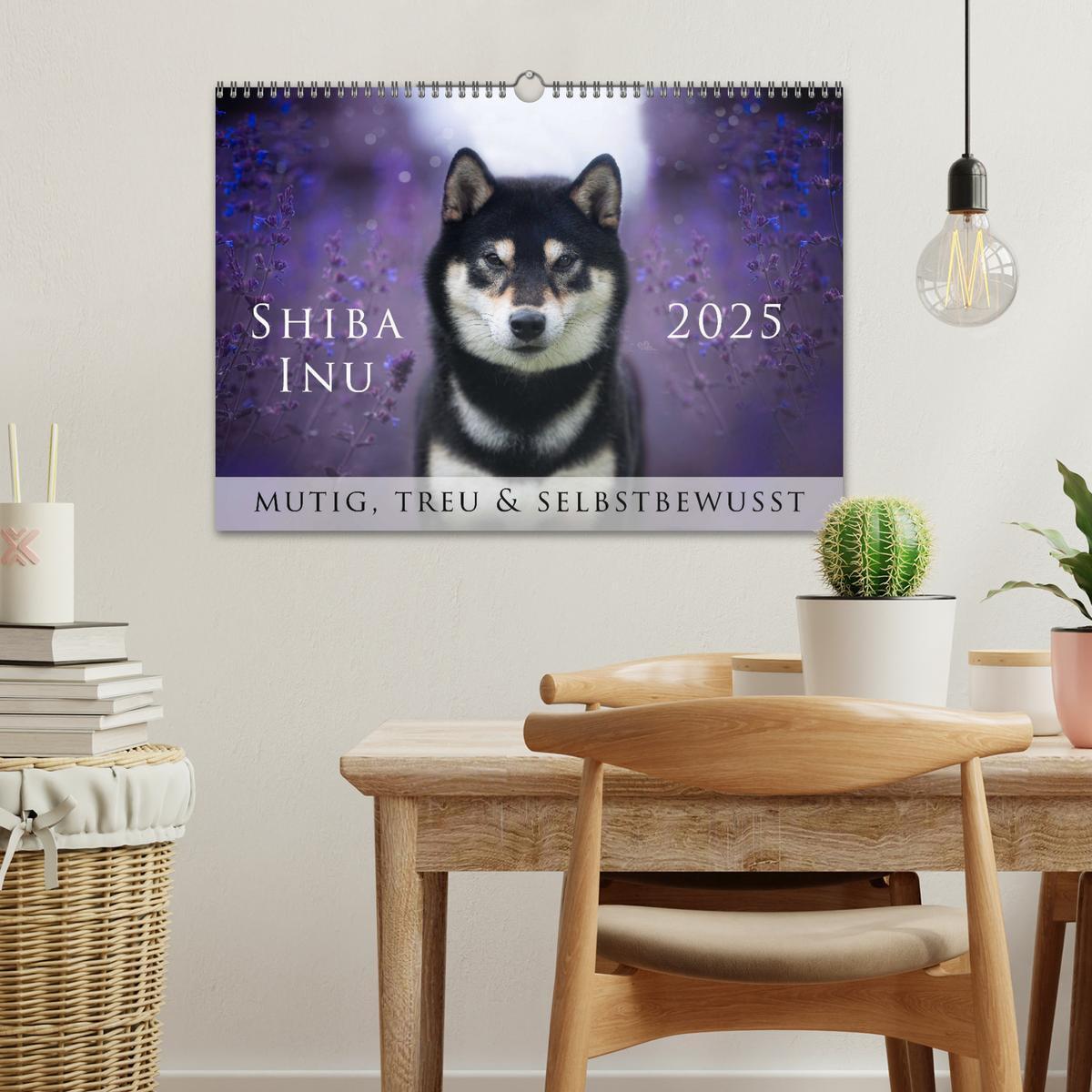 Bild: 9783457234143 | Shiba Inu - mutig, treu, selbstbewusst (Wandkalender 2025 DIN A3...