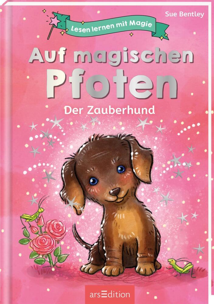 Cover: 9783845847733 | Lesen lernen mit Magie | Der Zauberhund | Sue Bentley | Buch | 80 S.