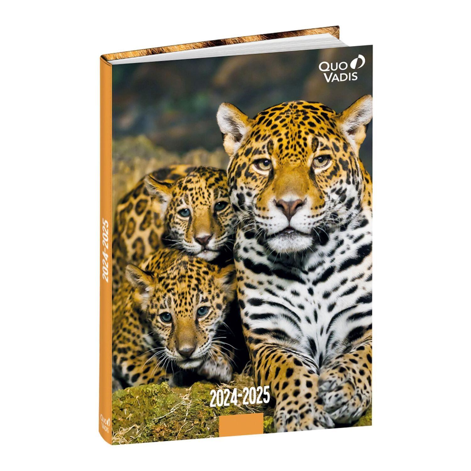 Cover: 3371010519668 | Schülerkalender FORUM DE Tiere Jaguar 2024/2025 | Schülerkalender