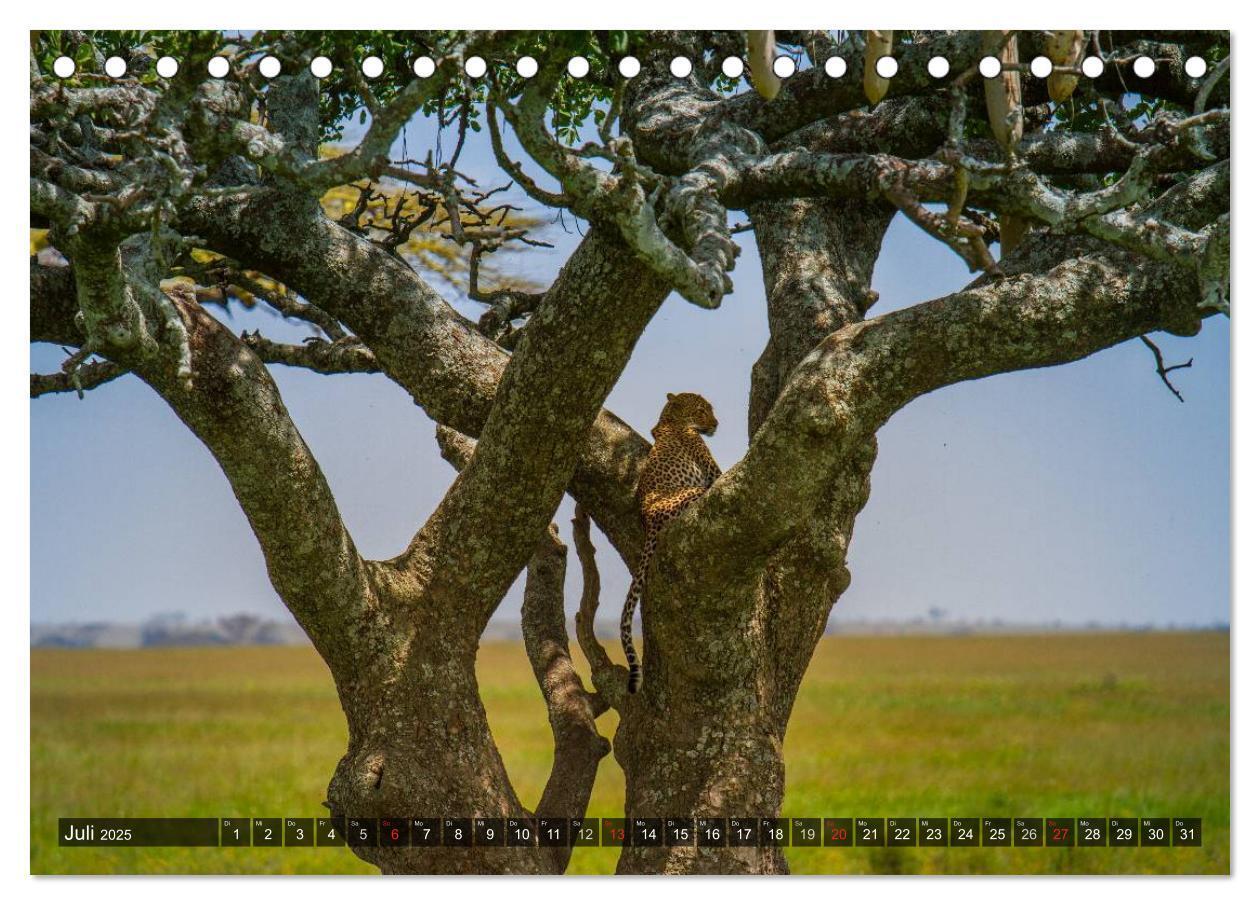 Bild: 9783435806713 | Abenteuer Tansania, Afrika (Tischkalender 2025 DIN A5 quer),...