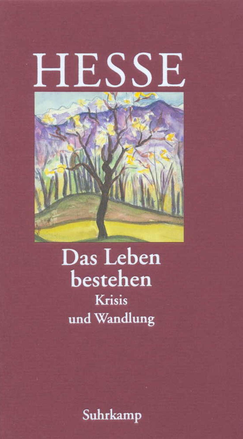 Cover: 9783518035870 | »Das Leben bestehen« | Krisis und Wandlung | Hermann Hesse | Buch