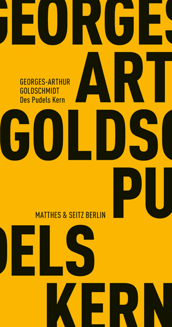 Cover: 9783882217377 | Des Pudels Kern | Ein Gespräch | Georges-Arthur Goldschmidt | Buch