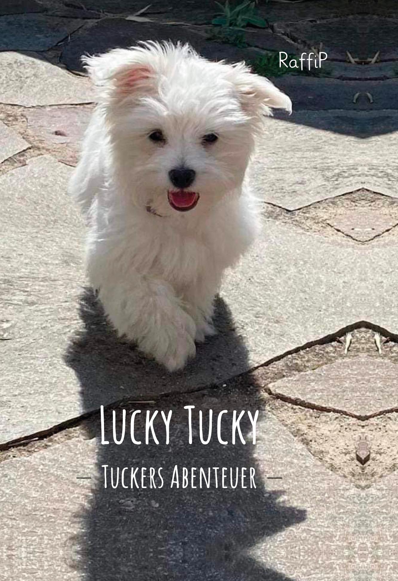 Cover: 9783758100826 | Lucky Tucky | Tuckers Abenteuer | RaffiP | Buch | Deutsch | 2024