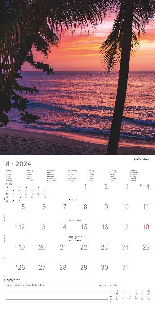 Bild: 4251732335632 | Summer Dreams 2024 - Broschürenkalender 30x30 cm (30x60 geöffnet) -...