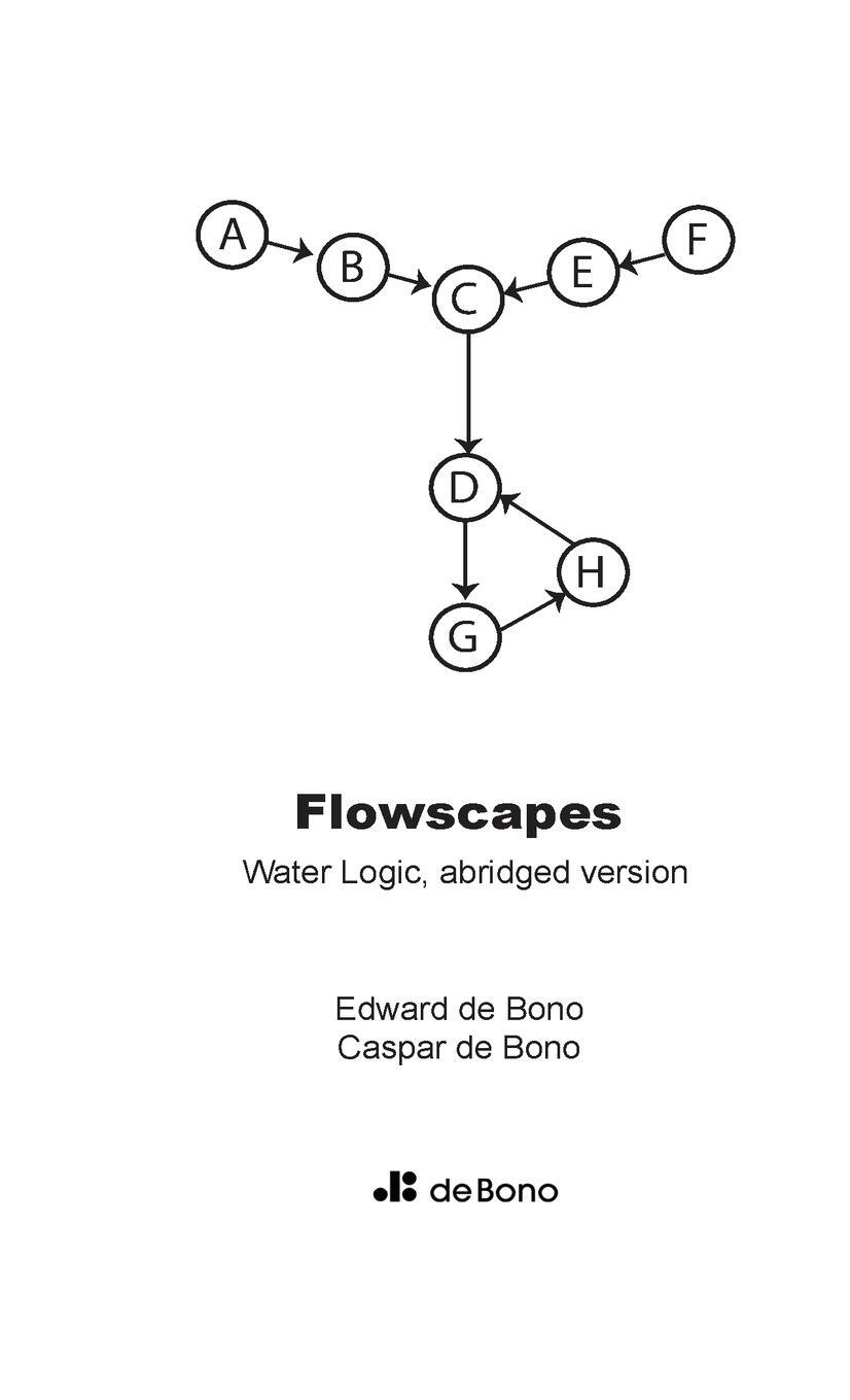 Cover: 9780244861834 | Flowscapes | Water logic abridged | Edward de Bono | Taschenbuch