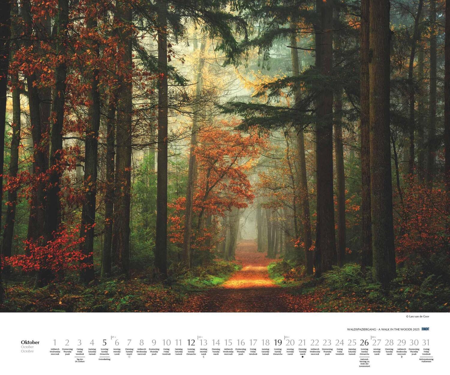 Bild: 4250809653426 | Waldspaziergang 2025 - Fotokunst-Kalender - Querformat 60 x 50 cm -...
