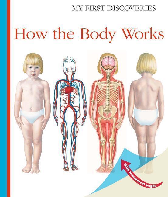 Cover: 9781851034406 | How the Body Works | Sylvaine Peyrols | Taschenbuch | Englisch | 2016