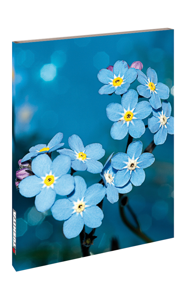 Cover: 9783965544024 | Wildflower | Buch | Deutsch | 2021 | 5106765 | EAN 9783965544024