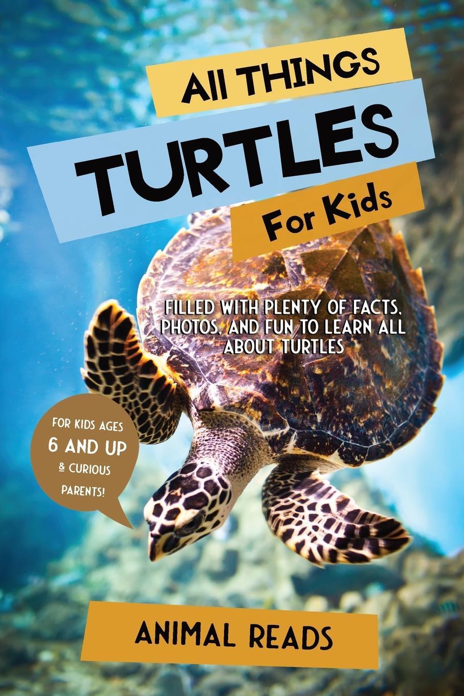 Cover: 9783967720891 | All Things Turtles For Kids | Animal Reads | Taschenbuch | Paperback