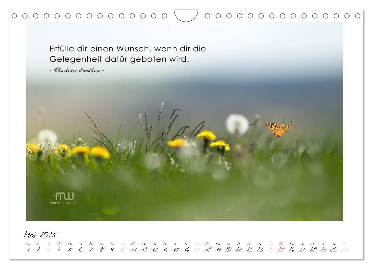 Bild: 9783435658527 | Gedanken... Bildkalender mit Sprüchen (Wandkalender 2025 DIN A4...