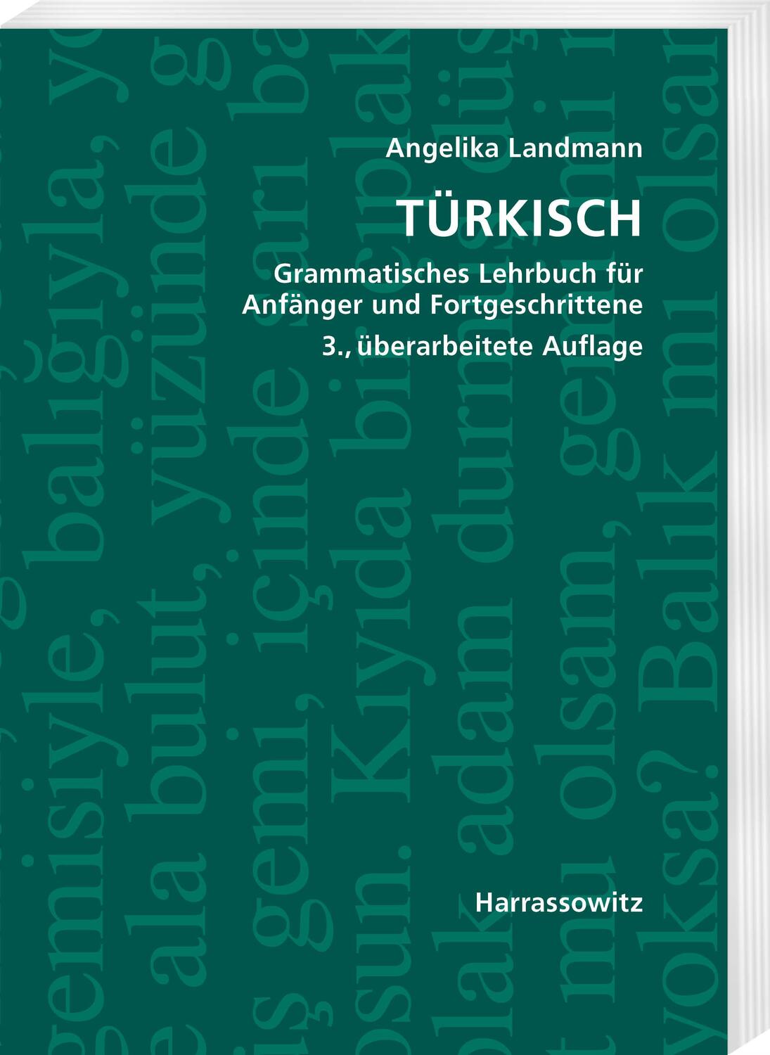 Cover: 9783447119542 | Türkisch Grammatisches Lehrbuch für Anfänger und Fortgeschrittene