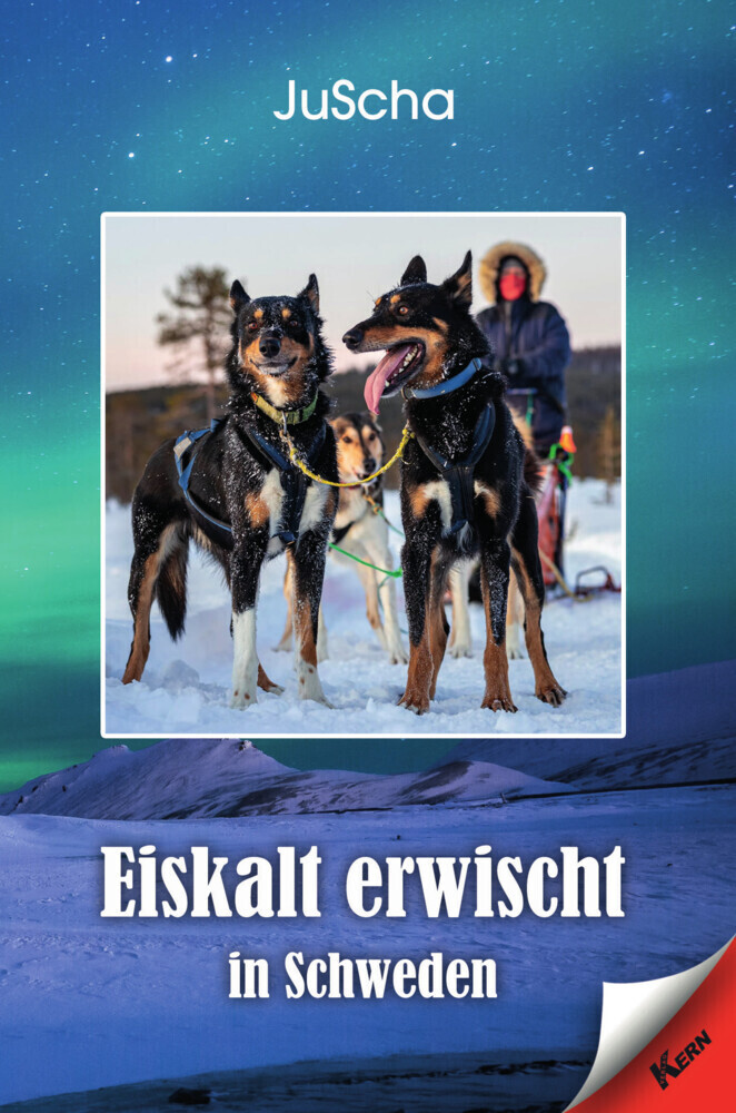 Cover: 9783957163431 | Eiskalt erwischt in Schweden | JuScha | Taschenbuch | 102 S. | Deutsch