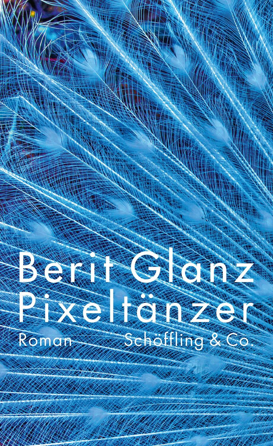 Cover: 9783895611926 | Pixeltänzer | Berit Glanz | Buch | Deutsch | 2019 | Schöffling
