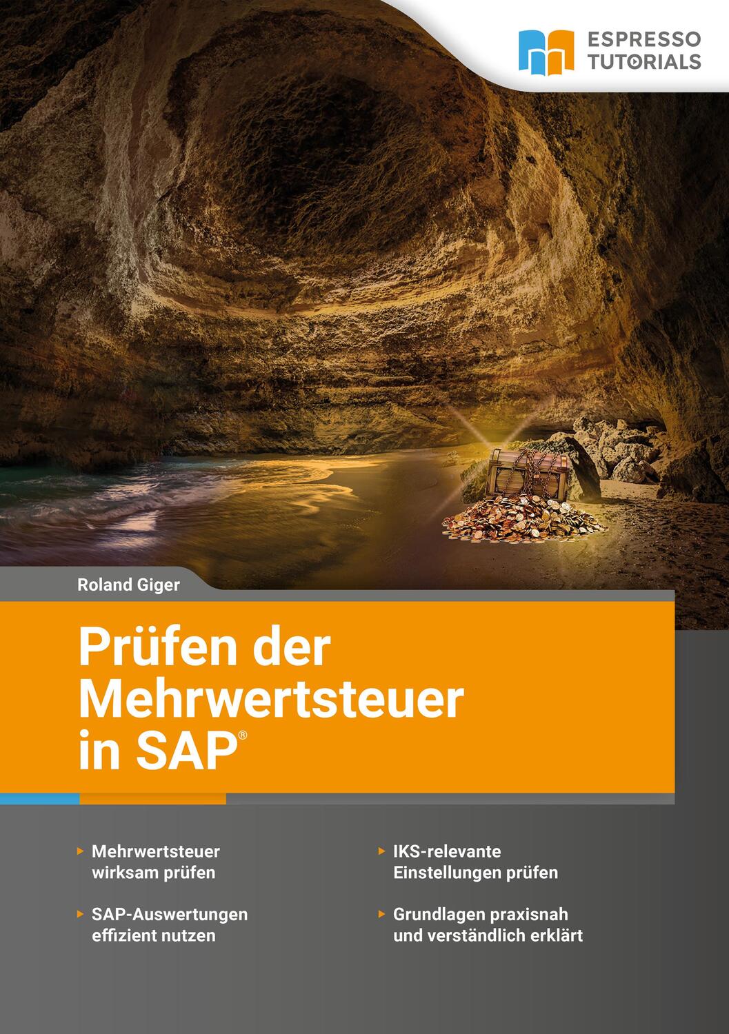 Cover: 9783960120339 | Prüfen der Mehrwertsteuer in SAP | Roland Giger | Taschenbuch | 152 S.