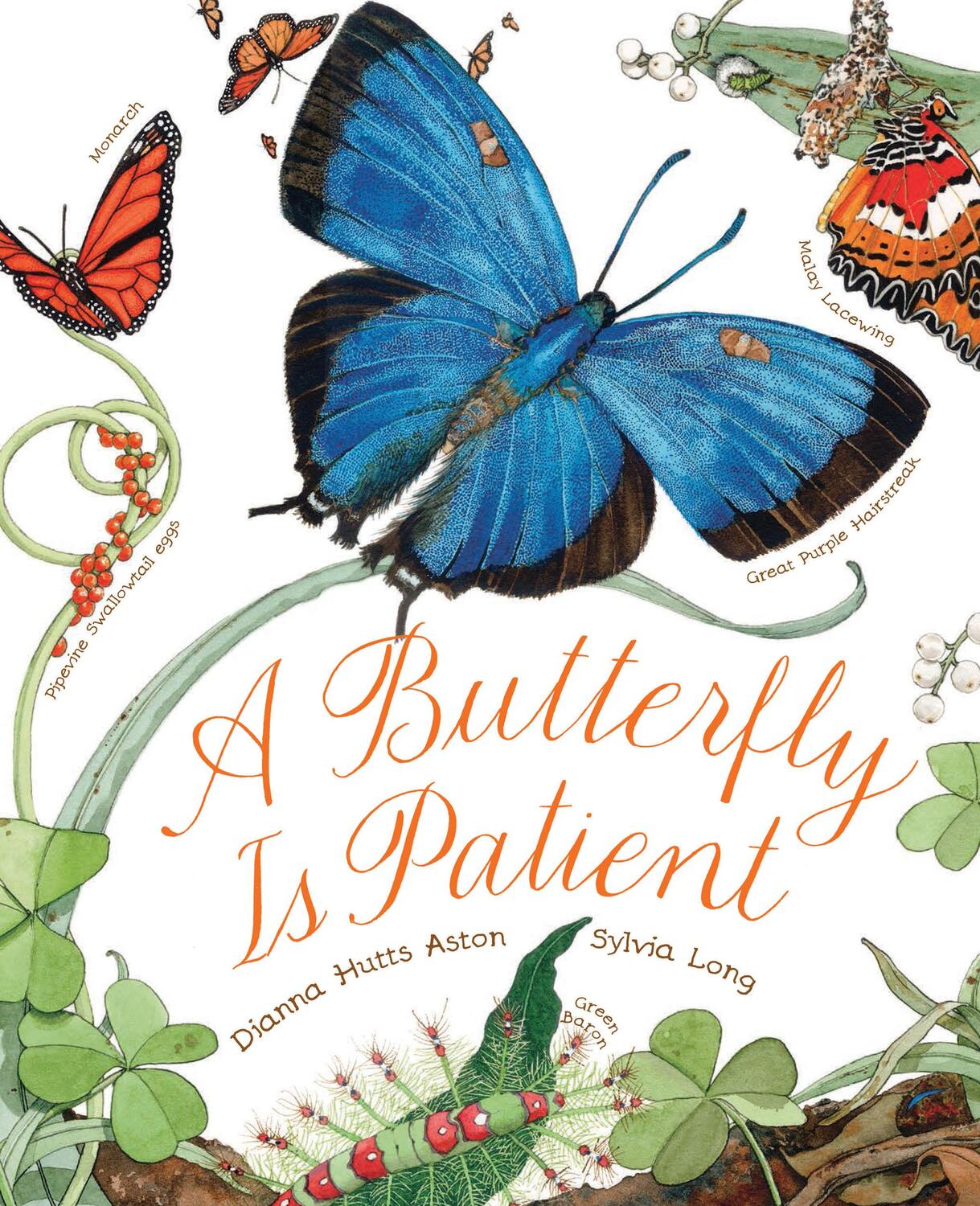 Cover: 9781452141244 | A Butterfly Is Patient | Dianna Hutts Aston | Taschenbuch | Englisch