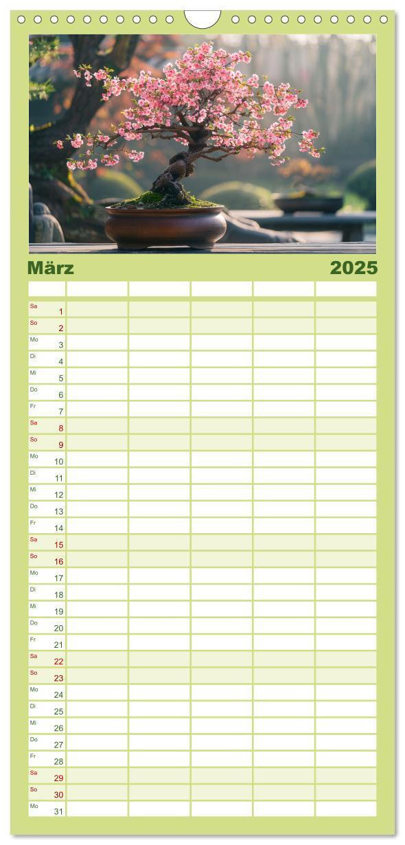 Bild: 9783457153901 | Familienplaner 2025 - Bonsai meditativ mit 5 Spalten (Wandkalender,...