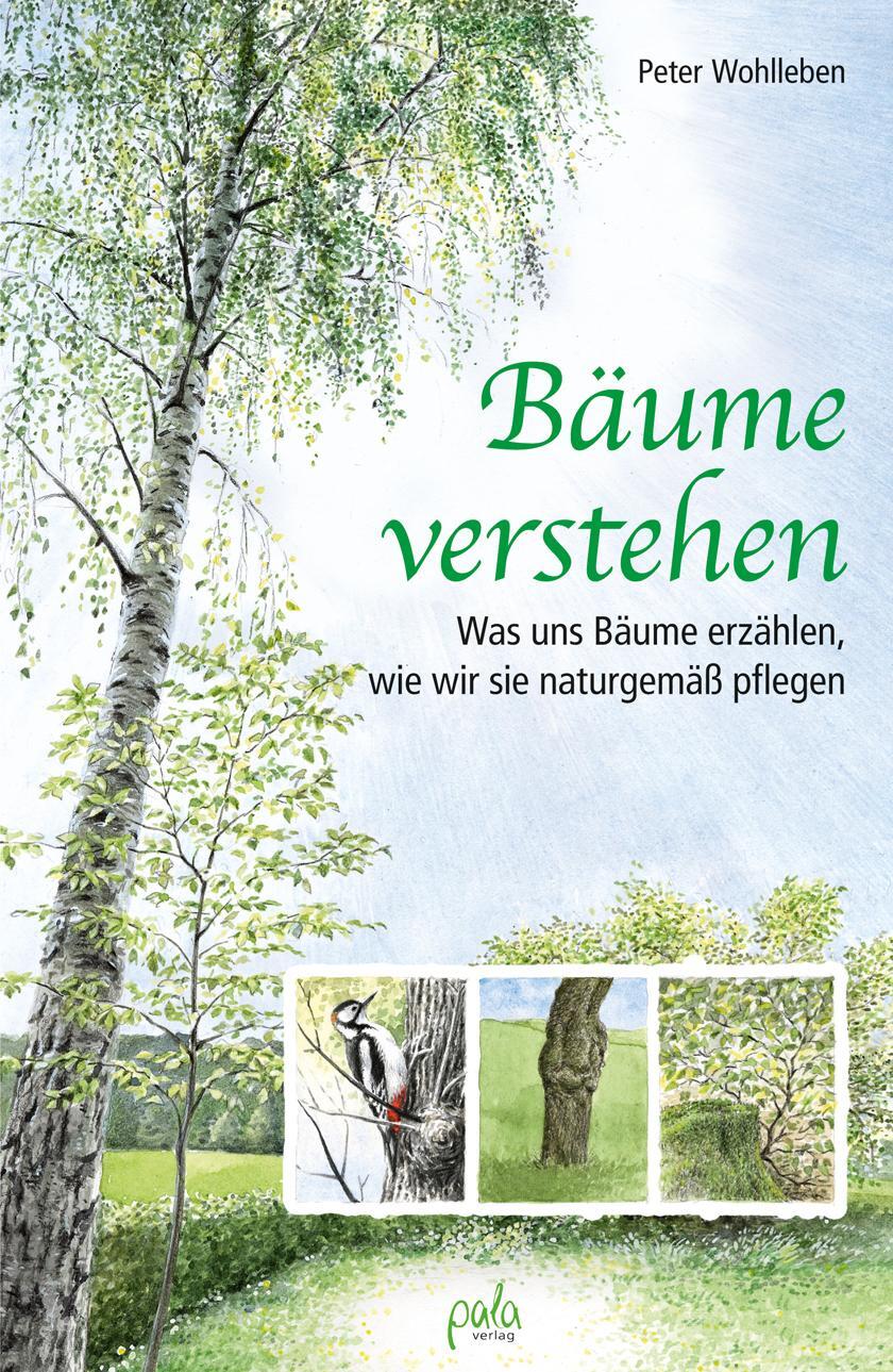 Cover: 9783895663659 | Bäume verstehen | Peter Wohlleben | Buch | 192 S. | Deutsch | 2016