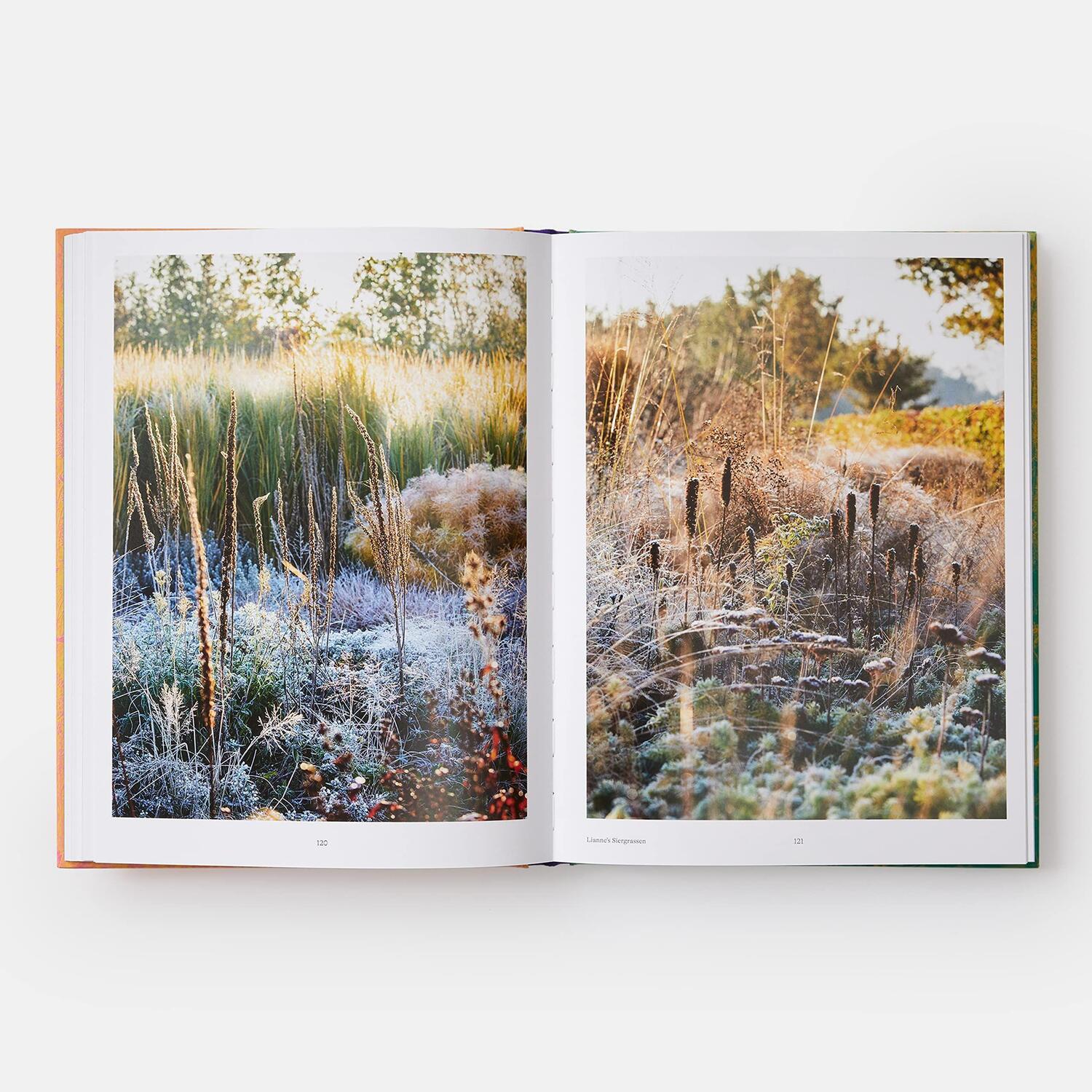 Bild: 9781838661052 | Wild: The Naturalistic Garden | Noel Kingsbury (u. a.) | Buch | 2022