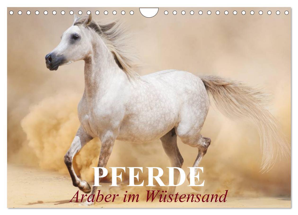 Cover: 9783675587106 | Pferde ¿ Araber im Wüstensand (Wandkalender 2024 DIN A4 quer),...