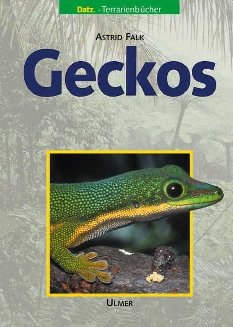 Cover: 9783800139330 | Geckos | Astrid Falk | Buch | DATZ-Terrarienbücher | Deutsch | 2002