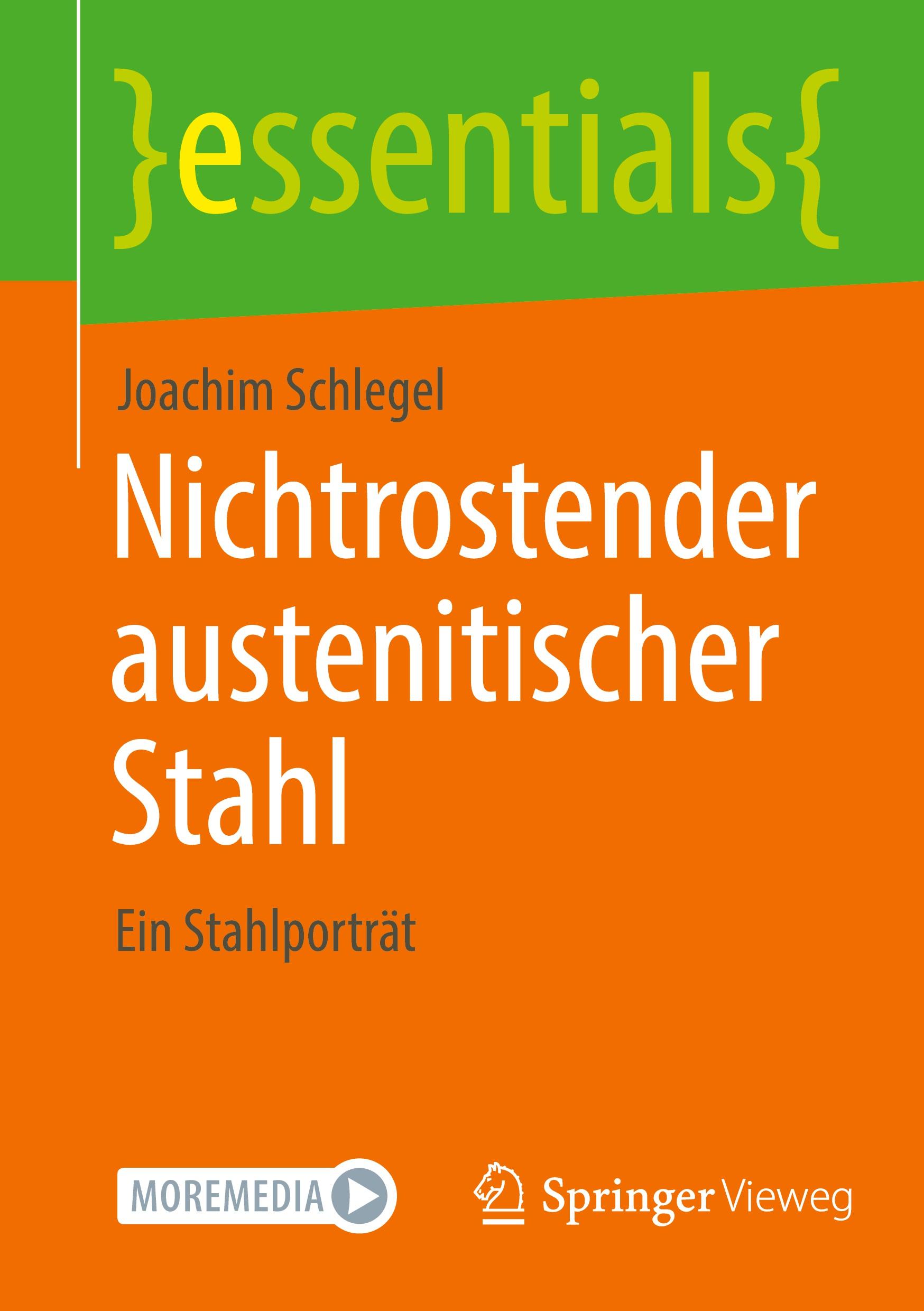 Cover: 9783658422851 | Nichtrostender austenitischer Stahl | Ein Stahlporträt | Schlegel | ix