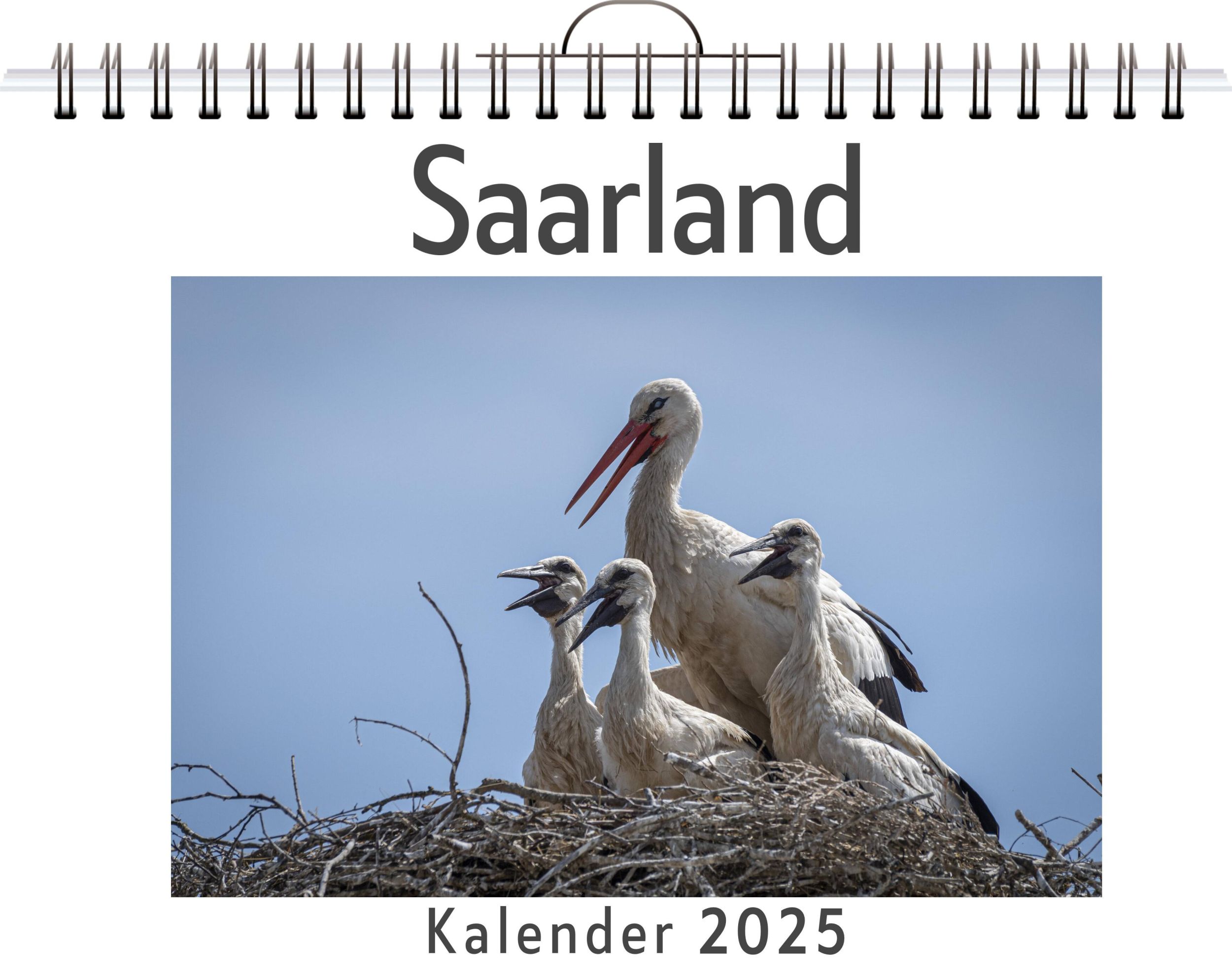 Cover: 9783759126078 | Saarland | Ella Bauer | Kalender | Kalender | 14 S. | Deutsch