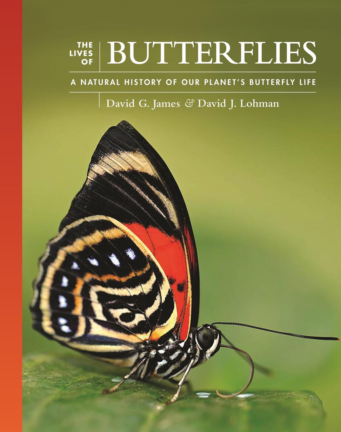 Cover: 9780691240565 | The Lives of Butterflies | David G. James (u. a.) | Buch | Gebunden