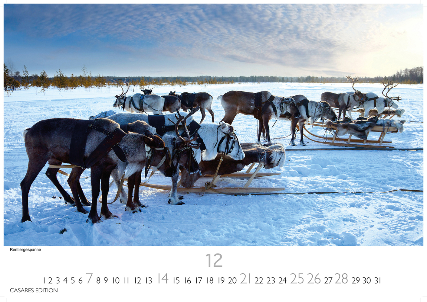 Bild: 9781835242032 | Finnland 2025 S 24x35cm | Kalender | 14 S. | Deutsch | 2025