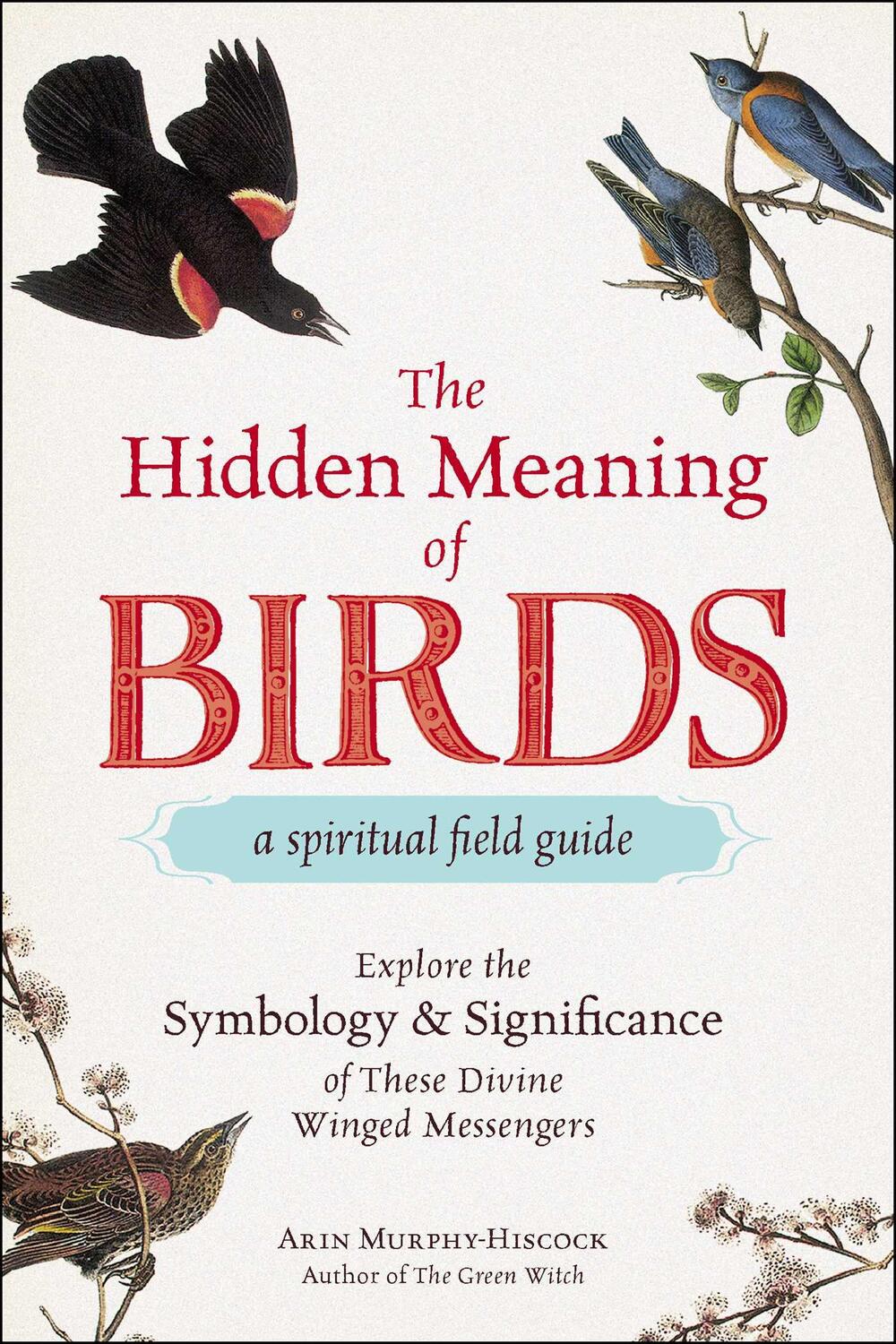Cover: 9781507210260 | The Hidden Meaning of Birds--A Spiritual Field Guide | Murphy-Hiscock