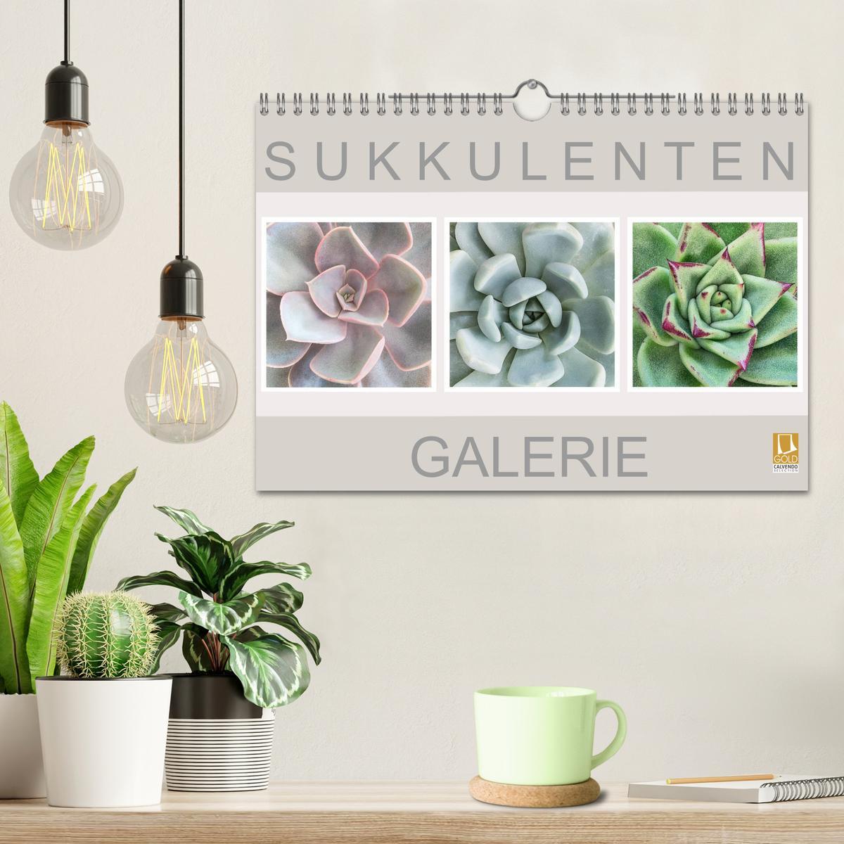 Bild: 9783435292066 | Sukkulenten Galerie (Wandkalender 2025 DIN A4 quer), CALVENDO...