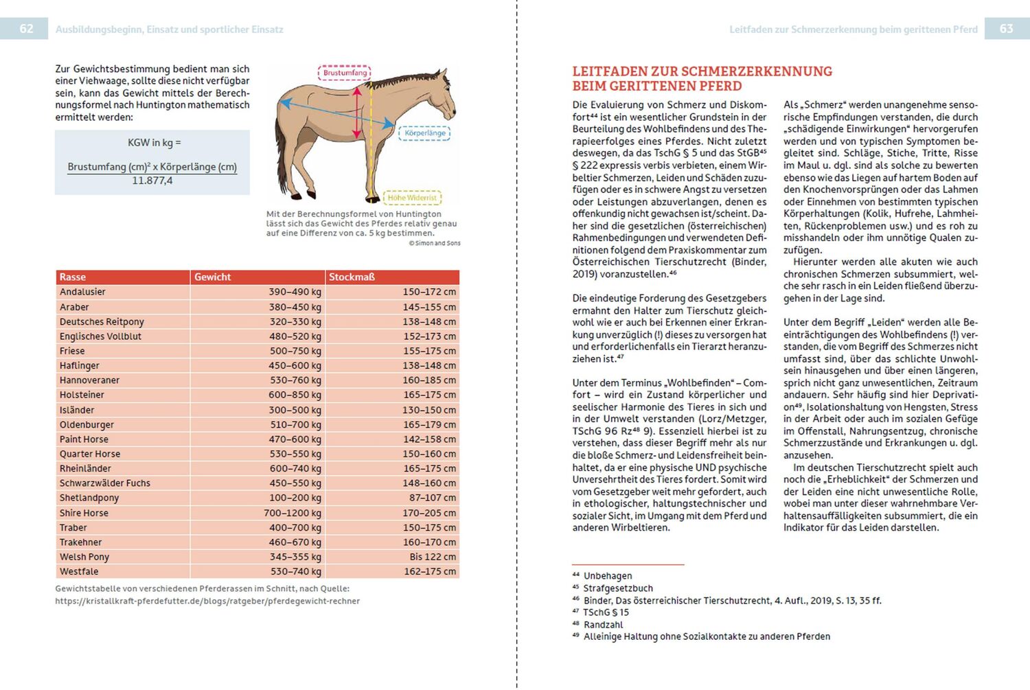 Bild: 9783702022587 | Rechtsleitfaden zum (Freizeit-)Reit- &amp; Pferdesport | Stodulka (u. a.)