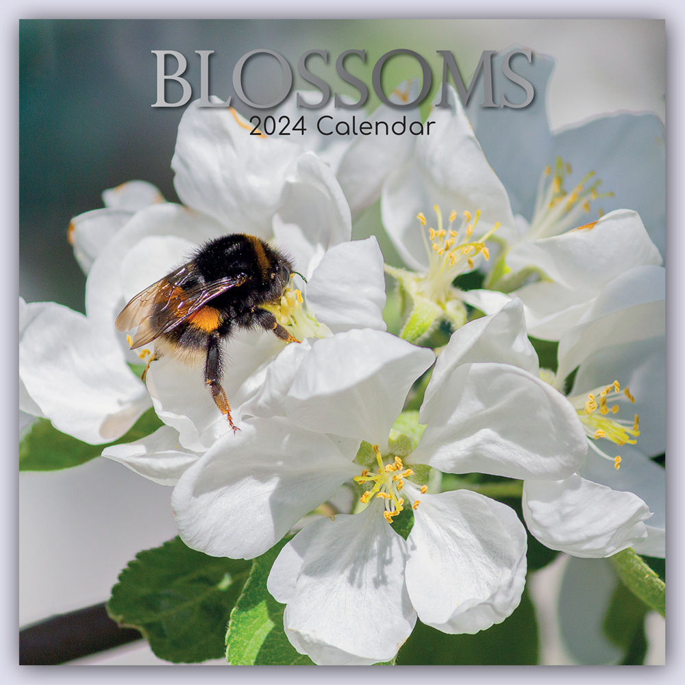 Cover: 9781804108130 | Blossoms - Blüten 2024 - 16-Monatskalender | Ltd | Kalender | 14 S.