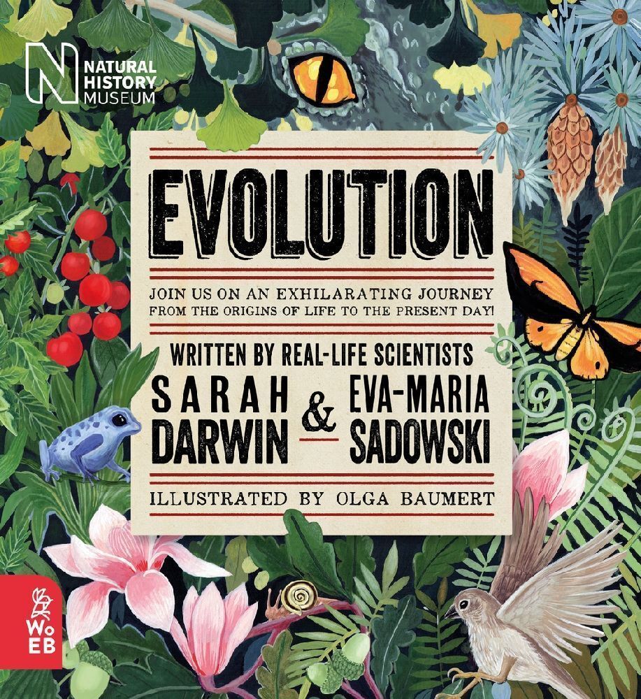 Cover: 9781912920532 | Evolution | Sarah Darwin (u. a.) | Buch | Englisch | 2023