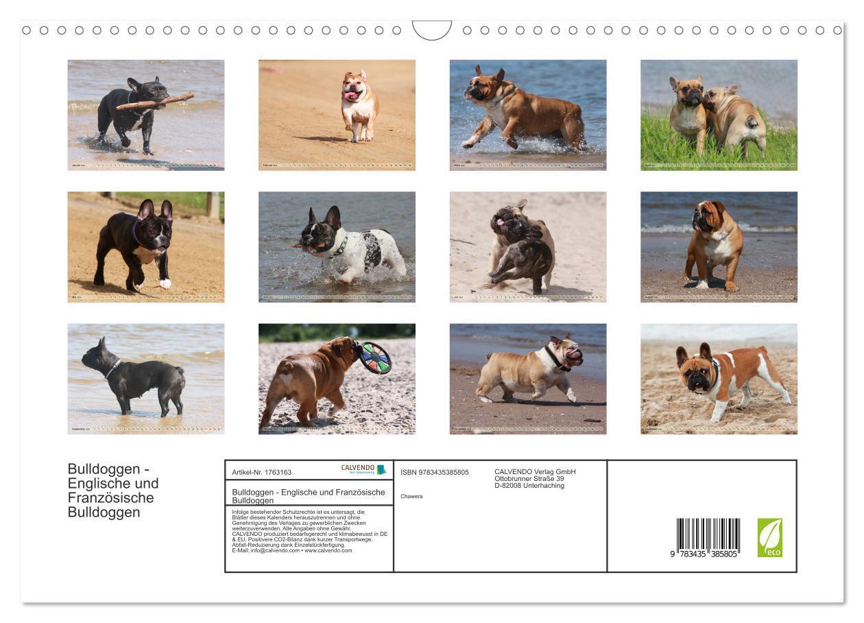 Bild: 9783435385805 | Bulldoggen - Englische und Französische Bulldoggen (Wandkalender...