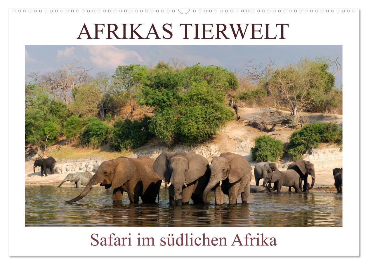 Cover: 9783675679634 | Afrikas Tierwelt, Safari im südlichen Afrika (Wandkalender 2024 DIN...