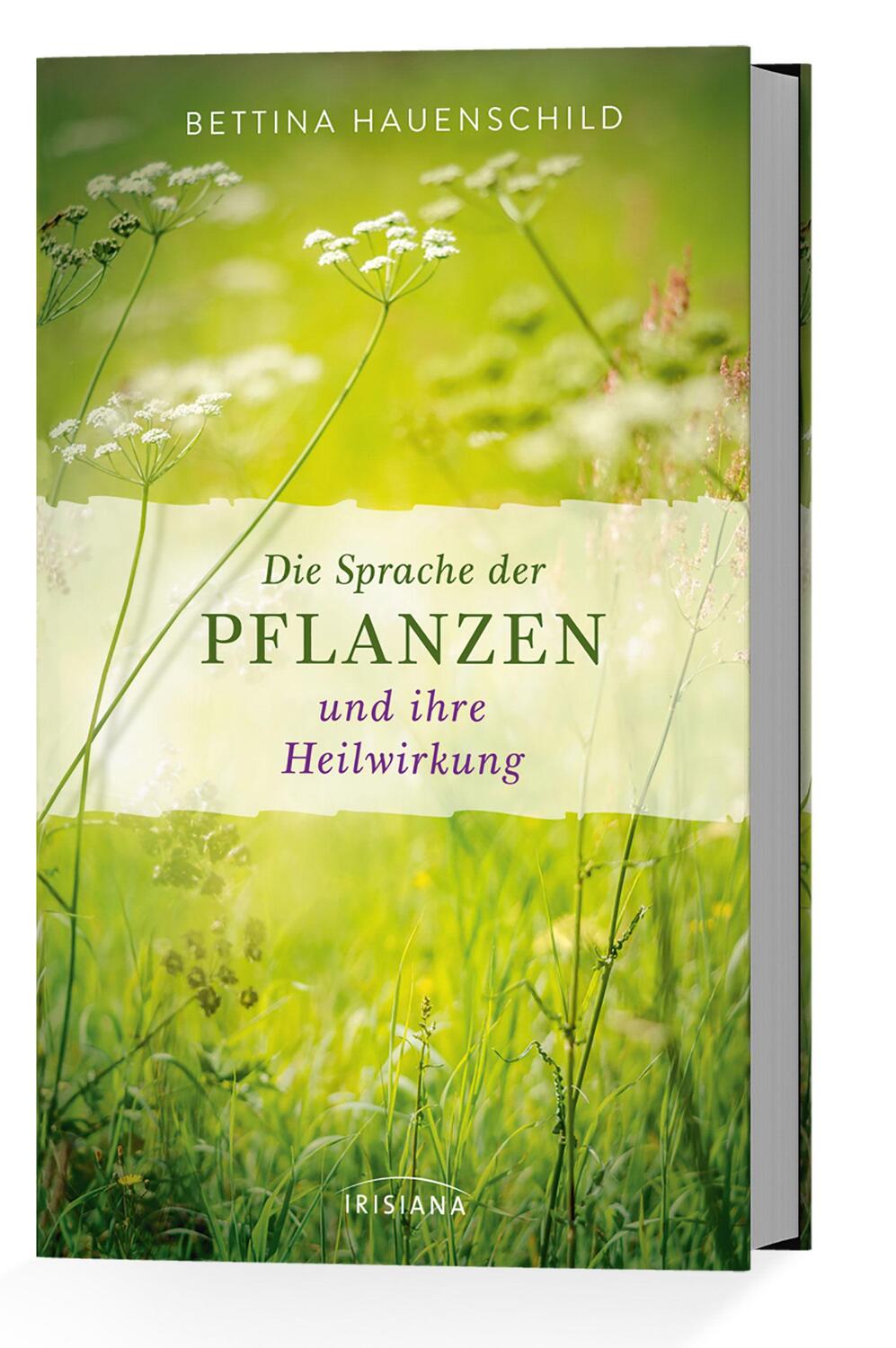 Bild: 9783424153095 | Die Sprache der Pflanzen und ihre Heilwirkung | Bettina Hauenschild