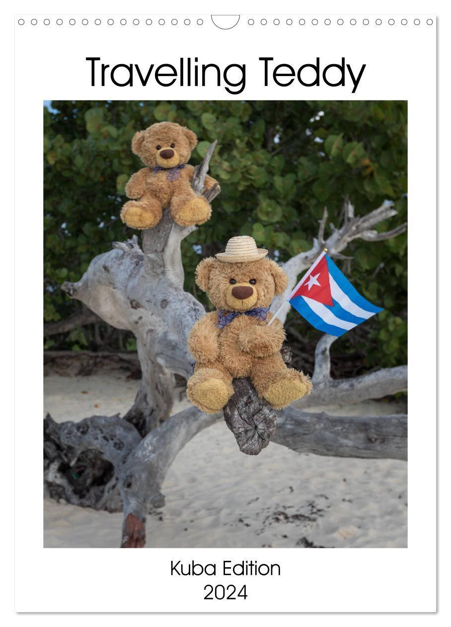 Cover: 9783383148118 | Travelling Teddy Kuba Edition 2024 (Wandkalender 2024 DIN A3 hoch),...